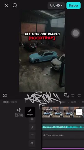 All that she wants HD [HOODTRAP] / @zet #CapCut #allthatshewants #hoodtrap #remix #krickart 