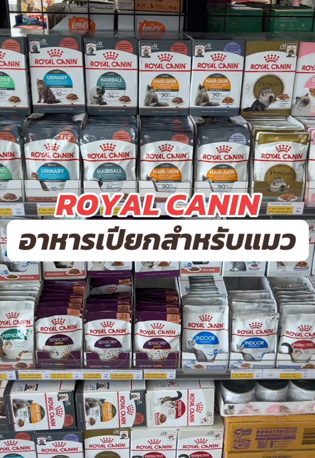 อาหารเปียกสำหรับแมว#royalcanin #โรยัลคานิน 