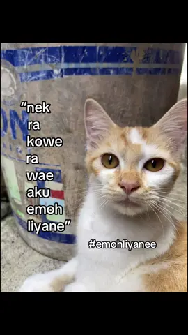 #fypp #fyp #foryoupage #4u #foryou 