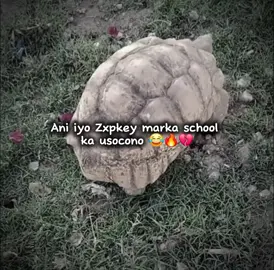 soo Qabo GaraCaas..😂🙌#veiwsproblem💔😶 #neymarjr🇧🇷🇧🇷🇧🇷🇧🇷🐐🐐🐐 #n🔥dwithkashmir_🔥foryou_viralndwithka 