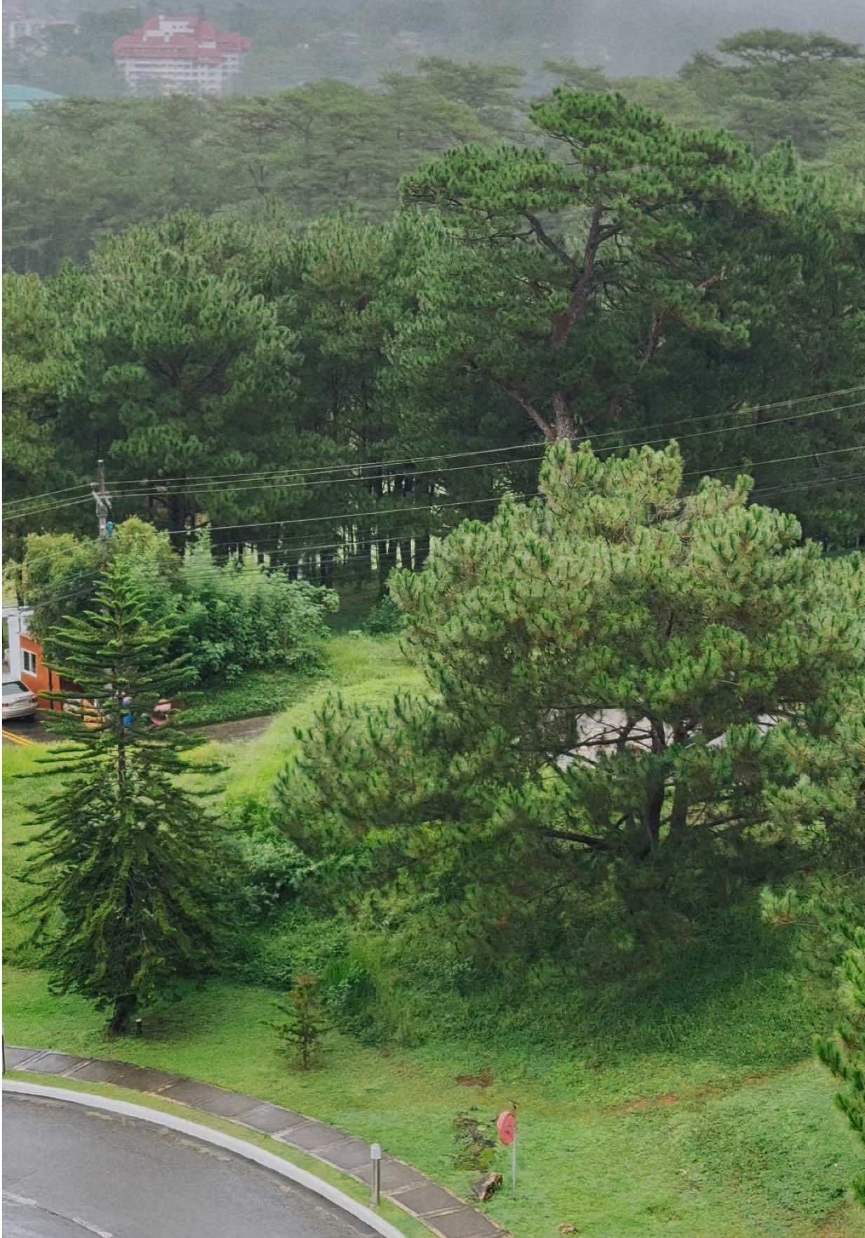That after-rain Baguio scent. What# if your weekend came with Baguio rain and a blanket if fog? #JohnHayHotels #ForestWing #FormerlyTheForestLodge #CampJohnHay #campjohnhaybaguiocityph  #Baguio #BreatheBaguio #Pines  #Fog  #Rain #fyp 