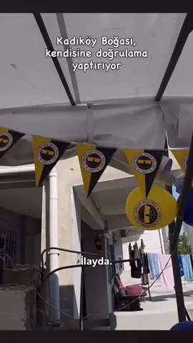 Robot olmadığını doğrula slkslaşşa 👩🏻‍💻Buna benzer videoların devamı için takipte kalmayı unutmayın🙏🏻🌱✨🎊 @kadikoybogasiofficiall @ilaydasumakk  #meme #komikvideolar #komik #komikpaylaşimlar #kadıköyboğası #kadıköyboğasımustafa #kadikoybogasi #fener #fenerbahçe 