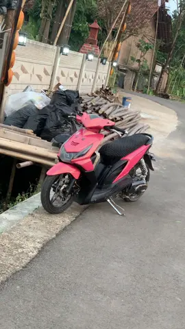 udahh males main motor