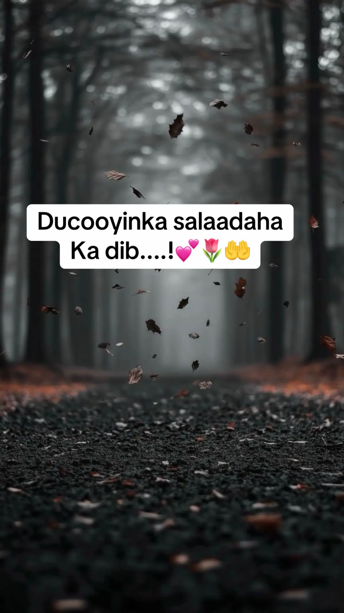 #dua #kusali_rusul_kena_muxamed_scw #kheyr #foryoupage #الحمدلله_دائماً_وابداً #foryou #scwscwscw💓💓💓 #islamic_video❤️❤️ #somalitiktok @منديق 🎀. 