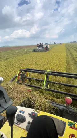 Chiến với bồ nhà bữa cuối mai lét go thạnh hoá thôi 😁🌾@𝕶𝖍𝖔𝖊̉ 𝖘𝖎̀ 𝖙𝖚̉𝖓🚜🚜 @Khoasitun2 @Võ Nam @gồm Google🎃 @Tuan Nguyen TPT @PHÚC EM 