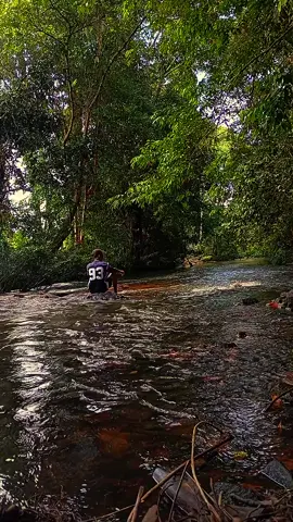 👋 #hutankalimantan #pertualangan  #fyppppppppppppppppppppppp 