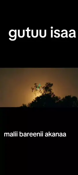 #malii bareenii akanaa #arsiikoo♥️😘♥️😘♥️ 