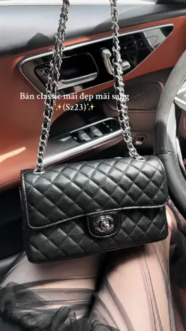 Gu mấy bà sang sang ✨#xuhuong #tuixach 