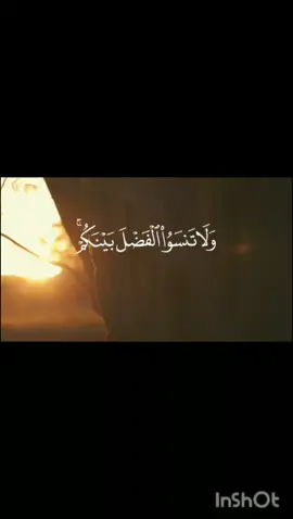 الشيخ عبدالباسط عبدالصمد رحمه الله البقرة (٢٣٧) #قرأن #تلاوة_خاشعة #ولا_تنسو_الفضل_بينكم❤️ #الشيخ_عبدالباسط_عبدالصمد_رحمه_الله #لا_اله_الا_الله #اللهم_صل_وسلم_على_نبينا_محمد #متابعة #اكسبلور #inshot #tiktok 