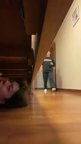 Hiding under the bed prank #prank #funny #funnyvideo #tiktokpets #scared #foryourpage #fyp 