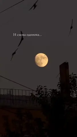 #и#снова #одинока #луна #🌒 