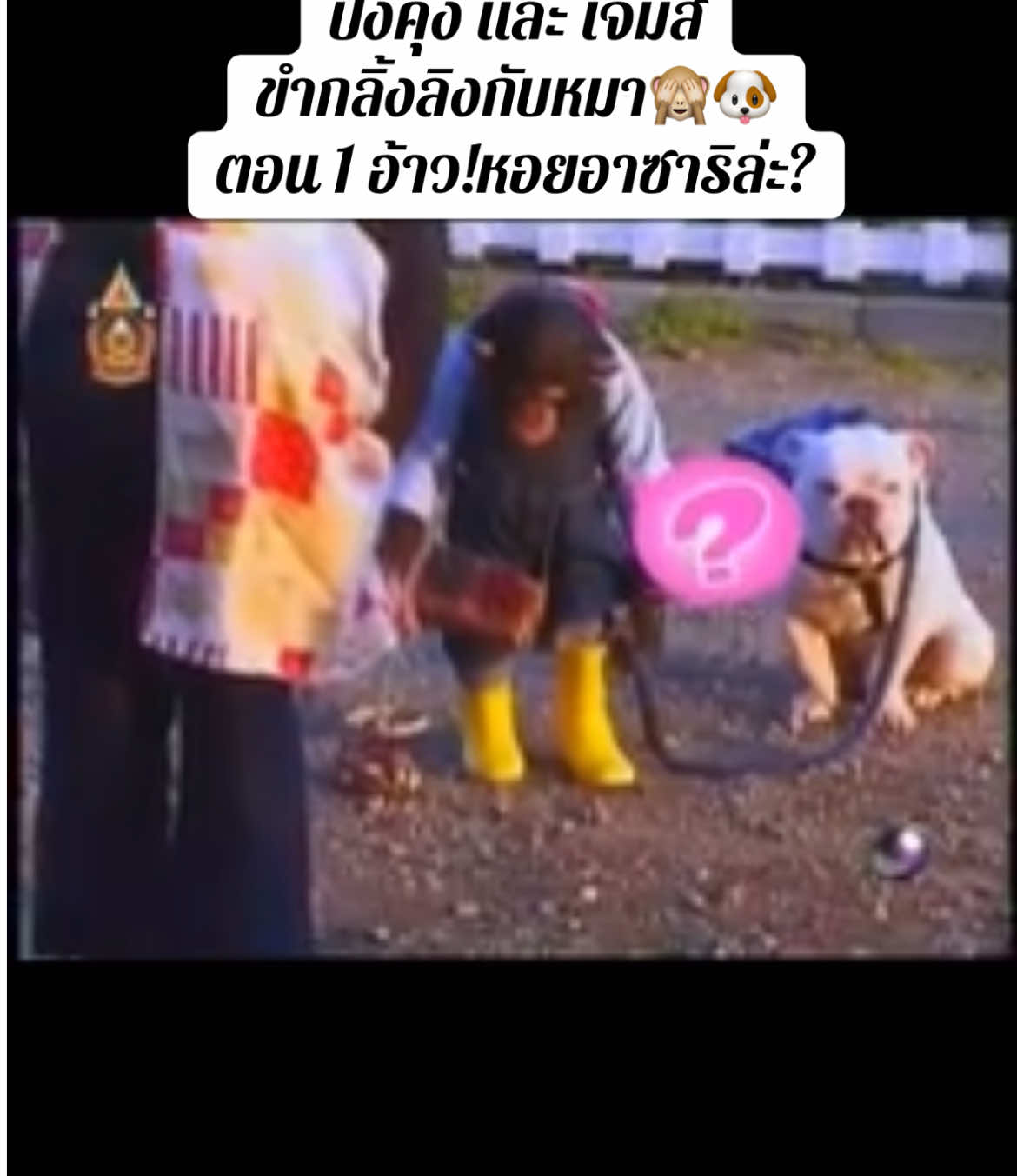ปังคุง และ เจมส์📺ขำกลิ้งลิงกับหมา🙈🐶ตอน 1 อ้าว!หอยอาซาริล่ะ? #รายการเก่า #รายการญี่ปุ่น #ขํากลิ้งลิงกับหมา #ปังคุงกับเจมส์ #เฟรนช์บลูด็อก #frenchbulldog 