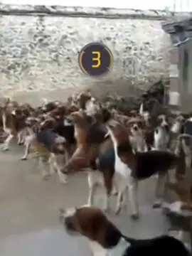 😂😂 #freefire #FreeFireTikTok #FreeFireHighlights #FreeFireGameplay #FreeFireClips #FreeFireMoments #FFTikTok #FFBattles #FreeFireSkills #FreeFireHeadshot #FreeFireSniper #FreeFirePro #FreeFireKills #FreeFireOneTap #FreFireChallenge #FreeFireEdit #FreeFireMontage #FreeFireShorts #FreeFireSlowmo #Booyah #GarenaFreeFire #FreeFireWorldSeries #FFWS #FreeFireEsports #FreeFireFunny #FreeFireMeme #freefiredance 