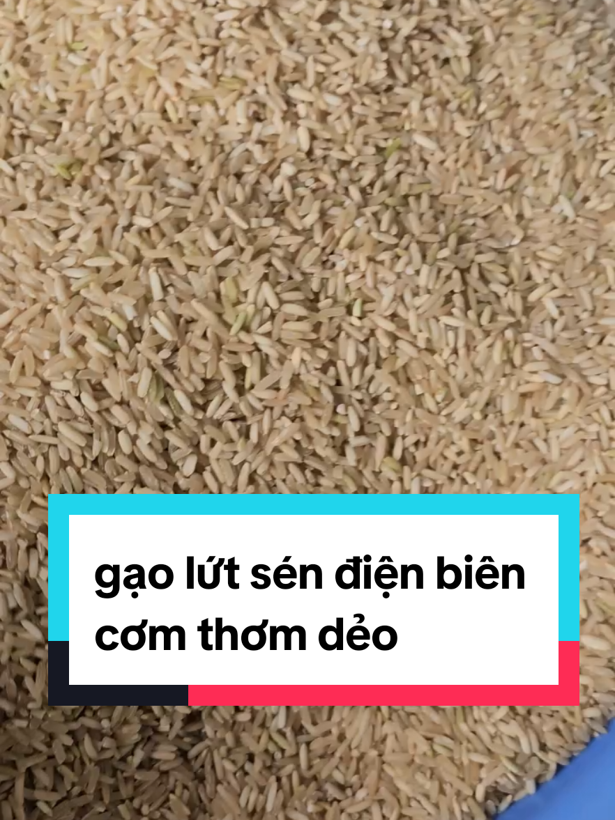 #xuhuong gạo lứt sén cù #Gaolutsencudeodienbien #gao lứt Sén cù dẻo điện biên 