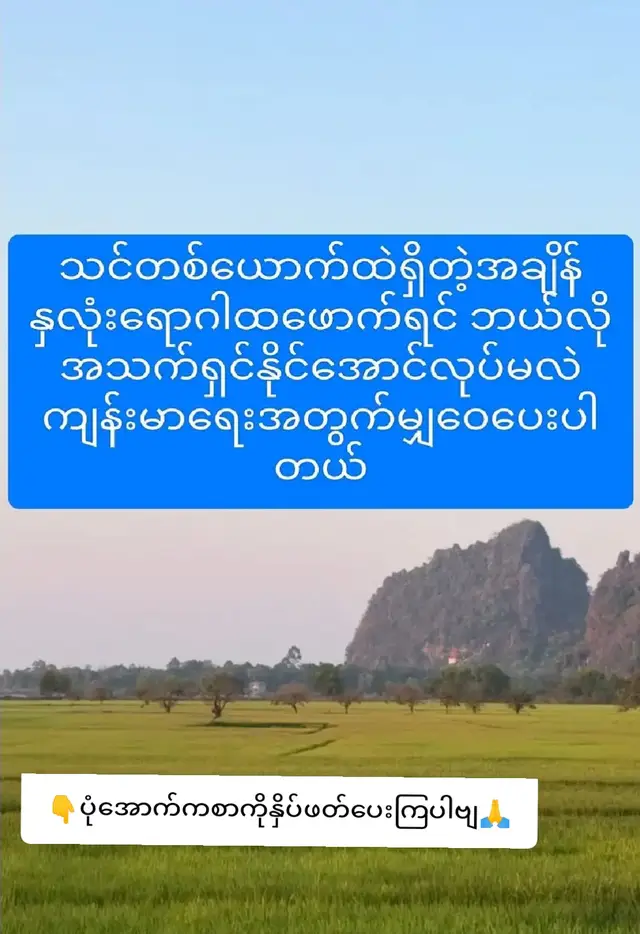 အရေးပေါ်မို့လို့ တစ်မိနစ်သာအချိန်ပေးပီးဖတ်ပေးပါ လူတစ်ယောက်ရဲ့အသက်ကိုကယ်နိုင်အောင် .  အကယ်၍သင်ဟာရုတ်တရက် ရင်ဘတ်ကနေ အလွန်နာကျင်တဲ့ဝေဒနာ  ခံစားလိုက်ရတယ် ။ အဲ့နာကျင်မှုကလက်မောင်း အတွင်းသားတွေ   မေးတွေအထိရောက်တယ်။    သင့်အိမ်နဲ့အနီးဆုံး  ဆေ:ရုံကိုရောက်ဖို့ ၅  မိုင်လောက်လိုတယ်   ဒါပေမဲ့ အဲ့ခရီးကို ရောက်အောင်သွားနိုင် မလား  မသေချာဘူး။ . သင်တယောက်ထဲရှိတဲ့အချိန် နှလုံးရောဂါ ထဖောက်ရင်  ဘယ်လို  အသက်ရှင်နိုင်အောင် လုပ်မလဲ? လူတော်တော်များများ နှလုံးရောဂါ  ထ ဖောက်တဲ့အချိန် သူ့အနားမှာကူမဲ့သူ တယောက် မှမရှိဘူး ၊ သူ့နှလုံးက ပုံမှန်မခုန်ဘူး ၊ သတိလစ် မေ့မျောတော့မယ်၊   သတိလစ်ဖို့ ၁၀  စက္ကန့် လောက်ပဲလိုတယ်.     ဒါပေမဲ့ အဲ့လိုအချိန်မှာ ကိုယ့်ဖာသာ ကိုယ်ပြန်ပီးကူညီနိုင်တယ် -  ချောင်းဆိုးမယ် ။  ချောင်းကို ခနခန ဆိုးမယ် ရင်ထဲကနေ လှိုက်လှိုက်ဆိုးမယ်( ချောင်းနက်ဆိုး) ကြာကြာဆိုးမယ် ၊ ချောင်းတစ်ခေါက် မဆိုးခင်တိုင်းမှာ အသက် ်ပြင်းပြင်းရှူသွင်းမယ် ။   အဲ့လိုလုပ်ခြင်းအားဖြင့် ရင်ဘတ်ထဲက ချွဲ၊ သလိပ်တွေ ထွက်လာမယ်။  အဲ့လိုမျိုး အသက်ရှူလိုက်  ချောင်းဆိုးလိုက်ကို နှစ်စက္ကန့် တစ်ကြိမ်လောက် တစ်လှည့်စီ အဆက် ်မပြတ်လုပ်ပါ ။  အကူအညီမရောက်မခြင်း ( သို့ ) နှလုံးပုံမှန်အတိုင်းခုန်နေပြီလို့  မခံစားရမခြင်း။ အသက်ပြင်းပြင်းရှူခြင်းက အဆုတ်တွင်း အောက်စီဂျင် ရစေတယ်၊  ချောင်းဆိုးခြင်းက နှလုံး ကိုညှစ်ပေးတယ်၊ ဒါကြောင့် သွေ:လည်ပတ်မှု ကို ထိန်းထားပေးတယ်။  နှလုံးညှစ်ပေးနေတာကြောင့်လဲ နှလုံးခုန်နှုန်းပုံမှန်ပြန်ဖြစ်စေတယ်။   အဲ့လိုလုပ်ခြင်းအားဖြင့် နှလုံးရောဂါထဖောက်တဲ့လူနာကို ဆေ:ရုံပို့ပေး နိုင်ဖို့  အချိန်ဆွဲထားပေးနိုင်တယ်။ ဒီအကြောင်းကို တတ်နိုင်သမျှ လူတော်တော်များများကို ပြောပြပေးပါ။ အဲ့ဒါကသူတို့အသက်ကို ကယ်ပေးလိမ့်မယ်။   နှလုံးရောဂါအထူးကု ဆရာဝန်တစ်ယောက်ကပြောတယ် ။   အကယ်၍  သင်ဒီစာကိုရရင် လူ ၁၀ယောက်ကိုပြန်ဖြန့်ဝေပေးလိုက်ပါ။ကျွန်တော် တို့   အနည်းဆုံး လူတစ်ယောက်ရဲ့ အသက်ကိုတော့ ကယ်နိုင်ပါလိမ့်မယ်။ ဟာသတွေပို့မဲ့အစား ဒီစာကို ပြန်ရှယ်ခြင်းဖြင့် တစ်ဦးတစ်ယောက်ရဲ့  အသက်ကိုကယ်နိုင်ပါ လိမ့်မယ်။ ကျန်းမာပျော်ရွှင်ကြပါစေ🙏🙏🙏 အခြားသူများလည်းသိစေရန်ပြန်လည်မျှဝေခြင်းဖြင့်ကျန်းမာရေး ကုသိုလ်ယူပေးကြပါရန် မေတ္တာရပ်ခံအပ်ပါသည်။ ကျန်းမာရေးနဲ့ပတ်သတ်တဲ့ ဆေးပညာတွေနေတိုင်းတင်သွားပေးမှာဖြစ်တဲ့ အတွက် ကျွန်တော်ရဲ့postလေးကို like and shareလေသွားမို့မမေ့နဲ့နော် အားလုံးဘဲကျန်းမာပျော်ရွှင်ကြပါစေ၊၊🙏🙏🙏 #ကျန်းမာရေးဗဟုသုတများ  #ကျန်းမာရေး #ခင်ဗျားတို့ပေးမှ❤ရမဲ့လူပါဗျာ #မြင်ပါများပီးချစ်ကျွမ်းဝင်အောင်လို့🤒🖤 #မြင်ပါများပြီးချစ်ကျွမ်းဝင်အောင်လို့😜🤗 #ကျန်းမာရေးဗဟုသုတ #မြန်မာtiktok😁 #မြန်မာဇာတ်ကားကောင်းများ #မြန်မာပြည် #မြန်မာပြည်ကြီးအမြန်အေးချမ်းပါစေ🙏🙏🙏 #myanmar #myanmartiktok🇲🇲🇲🇲 #မြန်မာ🇲🇲vsထိုင်း🇨🇷 #ထိုင်းရောက် #ထိုင်းရောက်ရွှေမြန်မာ #ထိုင်းရောက်ရွှေမြန်မာ🇲🇲🇲🇲🇲🇲 #မေတ္တာဖြင့်ပြန်လည်မျှဝေပါသည် #စာပေချစ်သူ #ဗဟုသုတ #ကျန်းမာရေး @Inn Lay Maung @🇲🇲Inn Lay Maung🇲🇲 