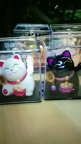 แมวปักโซล่าเซลล์พลังงานแสงอาทิตย์