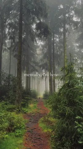 moody days await 🌧️🌲🌿 #nature #fyp #forest 
