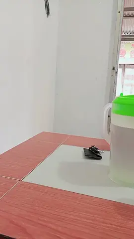 #fyppppppppppppppppppppppp 