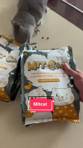 Tặng 5 gói súp khi mua thức ăn cho mèo mitcat #mitcat 