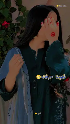 #قلبونا حرقانه مالك معاي#سيد الريدة #مشاهير_تيك_توك_مشاهير_العرب #الشعب_الصيني_ماله_حل #فلان @غہزلانہ🎀🦋 @عـᬼ👑⍣⃟ـᬼلاء 𝓐𝓵𝓪𝓪 @مــ🦅❀⃟ـحمد @الجنرال  كزمه 🦁🦁✌️ @درشو 2 