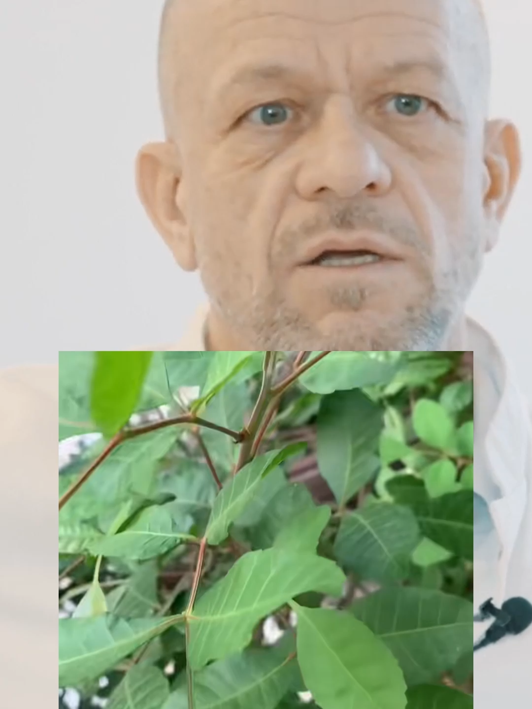 #DouleursArticulaires #RemèdeNaturel #SantéHolistique