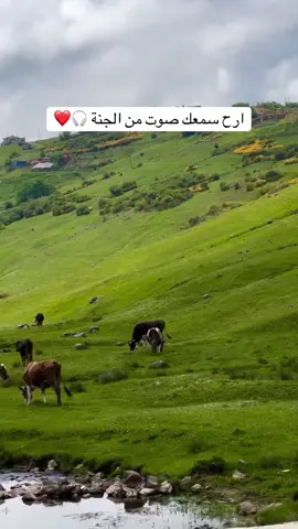 القران الكريم بصوت جميل #ارح_سمعك_بالقران #القران_الكريم_راحه_نفسية #القران #quran #نامق_مصطفى #القرانالكريم #محمد_زهير_الشرع #القران_الكريم_راحة_نفسية🎧❤ 