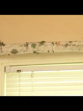 #BudgetDecorating #HomeDecorHacks #DIYDécor #ThriftedFinds #RoomMakeover #LearnOnTikTok #fyp #Viral