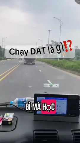 Có ai chưa hiểu về chạy dat là gì k ạ!#daylaithainguyen #chạydat #duygiadaylai #