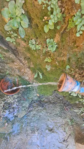 #taza #المغرب🇲🇦 #تازة  عين الحمراء 