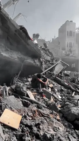 🤍 .  .  .  .  .  #lyrics #lyricsvideo #metal #metalcore #architects #fyp  #CapCut 