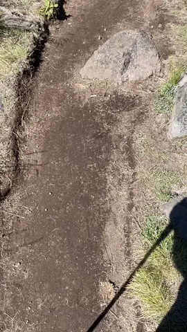 Gak nyangka sampe sini #sumbingviabanaran #fyp #segorobanjaran #sumbing3371mdpl 