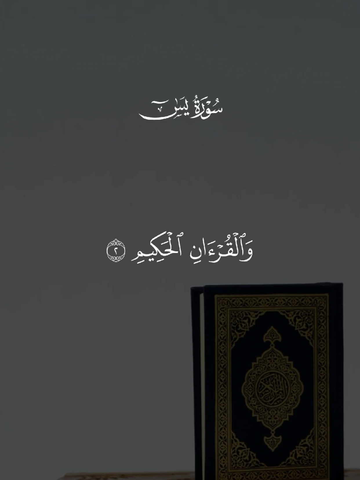 سورة يس 🤍🎧 #القرآن #quran #ماهرالمعيقلي  #quran #القران #quran_alkarim #القران_الكريم #qu_ran_n #تلاوة_خاشعة #qu_ran_n؛؛قرآن #chahr_205 #اجر_لي_ولكم #islamic_video #صدقه_جاريه #quran_114st #اللهم_صلي_على_نبينا_محمد 