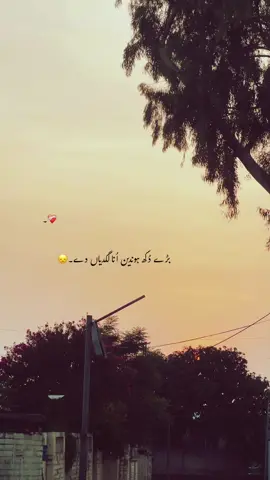 برے دُکھ ہوندیں اُنالگیاں دے۔🥹❤️‍🩹🕊️ #foryou #foryourpage #aesthetic #poetry #1millionaudition 
