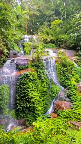 Air terjun talang kemulun #kerinci #jambi #indonesia #CapCut 