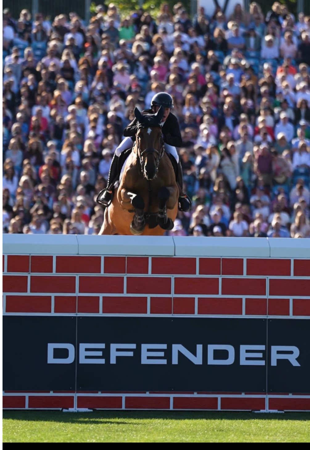 If this is your vibe, we NEED to be friends ❤️‍🔥 What a brilliant week of jumping from our Horseware Riders at @Dublin Horse Show! 💥 The unforgettable atmosphere and incredible crowd make this home show truly special, every year. So thank YOU! 💚 We can’t wait to do it all over again next year! 🇮🇪💫 #RDS #dublinhorseshow #showjumping #puissance #RDS2025 #dublinhorseshow2025 #iwearHorseware #horse #horsegirl #horses #equestrian #horsesoftiktok #foryou #fyp #horseshow #equestrianlife #letsbefriends #bestlife #horseriding