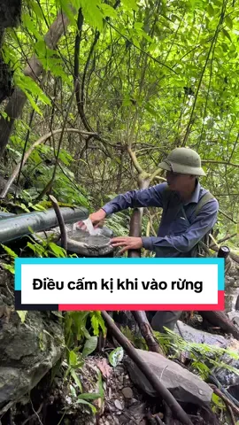 Điều cấm kị khi vào rừng #dirung #meo #thaoduoc #thaoduocdantoc #LearnOnTikTok #hungthuocnam 