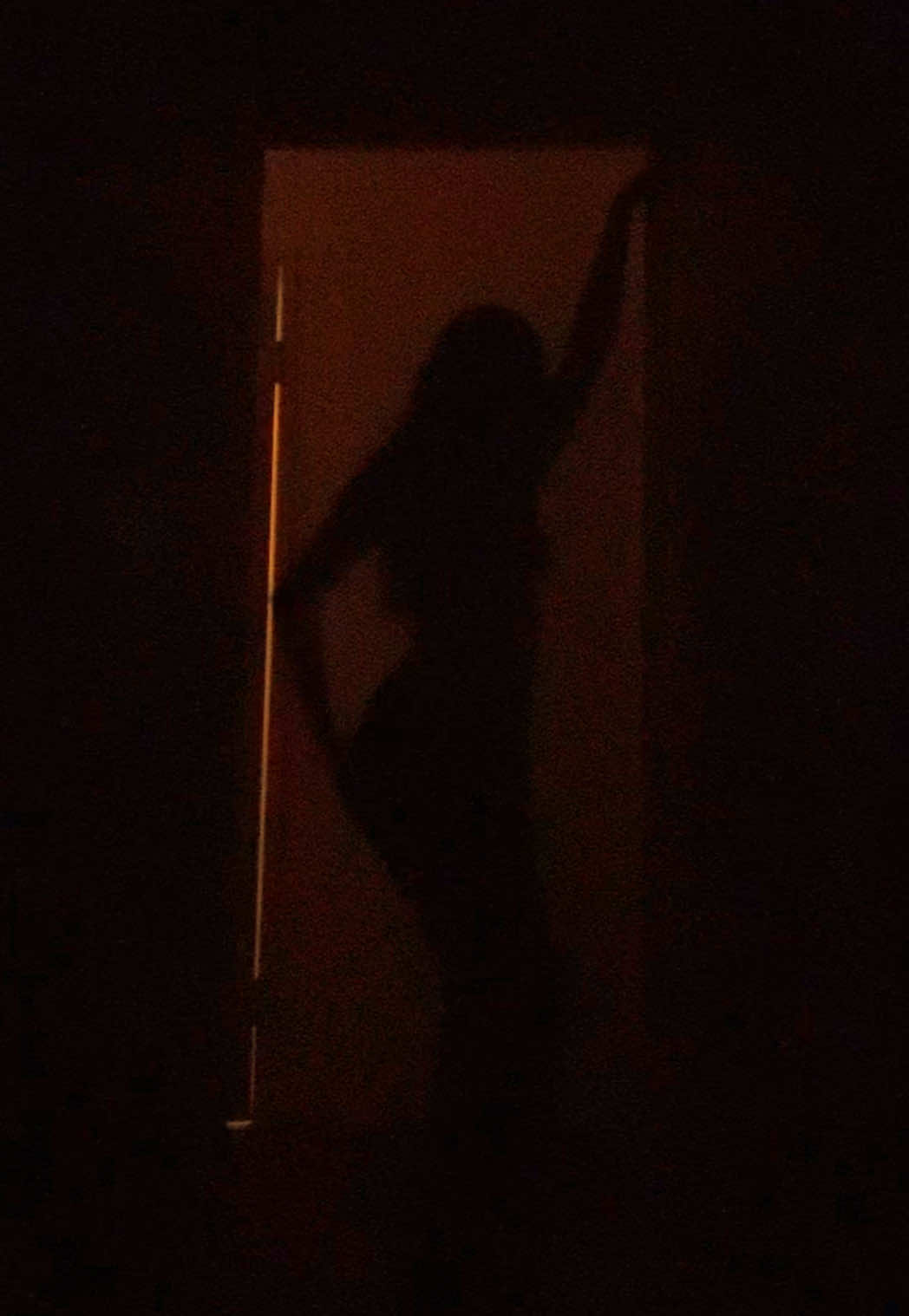 lil silhouette dance 🧛🏼‍♀️ #ptv #trending #dance #piercetheveil 
