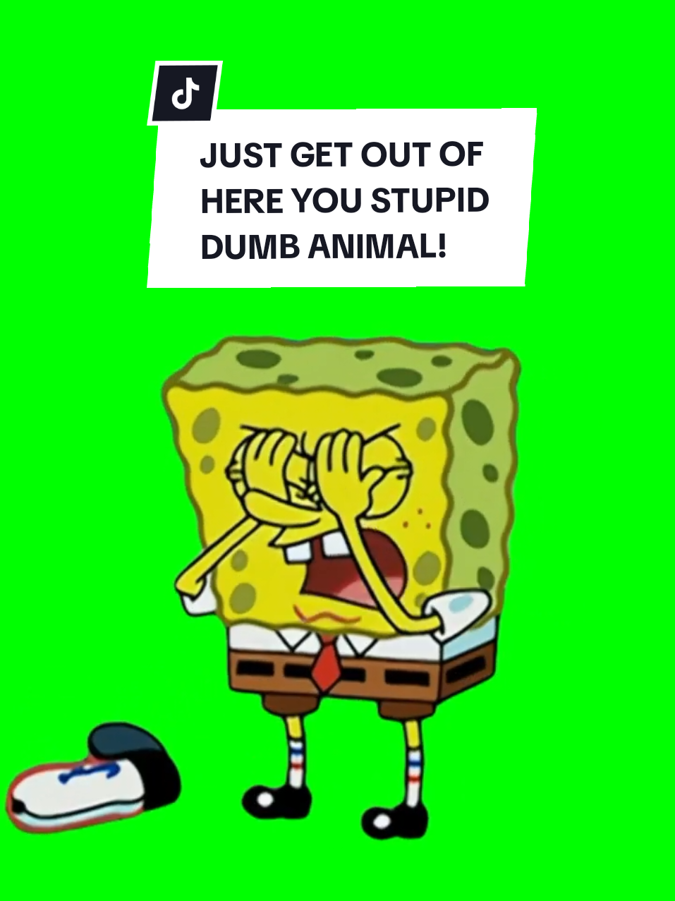#CapCut JUST GET OUT OF HERE  #spongebobsquarepants #meme #memes #templatecapcut  #meme2025 #greenscreen #greenscreenvideo #greenscreensticker #GreenScreenScan #capcut_edit #overlay #spongebobmeme #