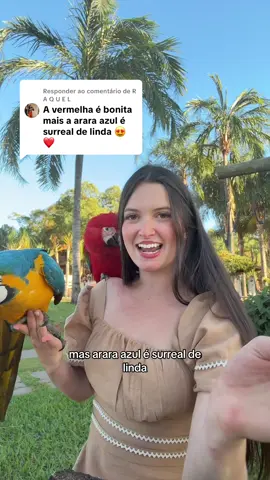 Respondendo a @R A Q U E L tadicaaaa kkkkk eles são lindossss #fyp 
