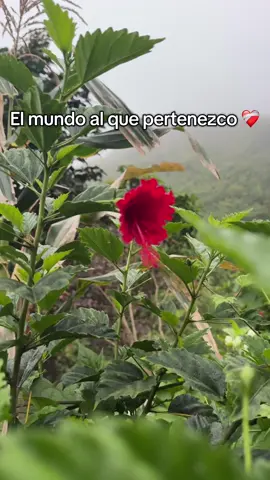 #perlacuello #perlaydylan❤️ #inmigranteslatinos #residenciaespañola🇪🇸 #consejosparachicas #trabajointerna🇨🇴🇪🇦 #internaenespaña🇪🇦34🇭🇳 #inmigrantesespaña #catrachosenespaña❤🇭🇳🇪🇸🖤 #latam #latinos #latinotiktok #chicalatina😘💟😉 #viralllllll #contenido #emigranteslatinos😢 #residenciaespañola🇪🇸 #vivirenespaña2023 #viviendoenespaña🇪🇦 #chicalatina💋 #trabajarenespaña #hacerpapelesenespaña #arraigosocial🇪🇸 #migranteslatinos #estudiarenespañasiendoextranjeros #educacion #residenciaespañola🇪🇸 #nacionalidadespañolafavorable #inmigrantesespaña #latinosenespaña #hogarlimpieza #minuevaaventura #micasanueva #hogar #humorlatino #papito #extrañoamipapa♥️🥺  #mujeresqueinspiran£ #perlacuello #hondureñaenespaña #amorpropio© #mujereslatinas #estudiarenespaña #catrachosenespaña #residenciaespañola #amohonduras #perlaydylan #inmigranteslatinos #carnetdeconducir🚘💨 #licenciadeconducir #aprendeaconducir 