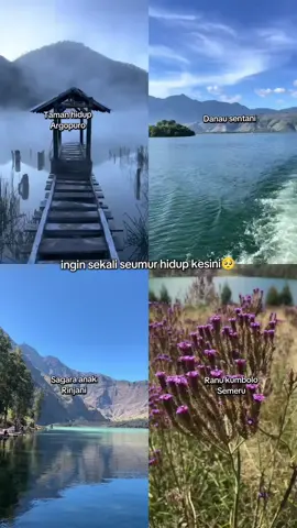 cantik banget tempat ini🤩 #ranukumbolo #rinjani #argopuro #danausentani #wonderfulindonesia #fyppppppppppppppppppppppp #4upage 