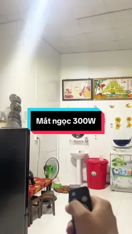 Mắt ngọc 300W siêu sáng mà cô bác thích nhất đây ạ #solar #nhandennangluong 