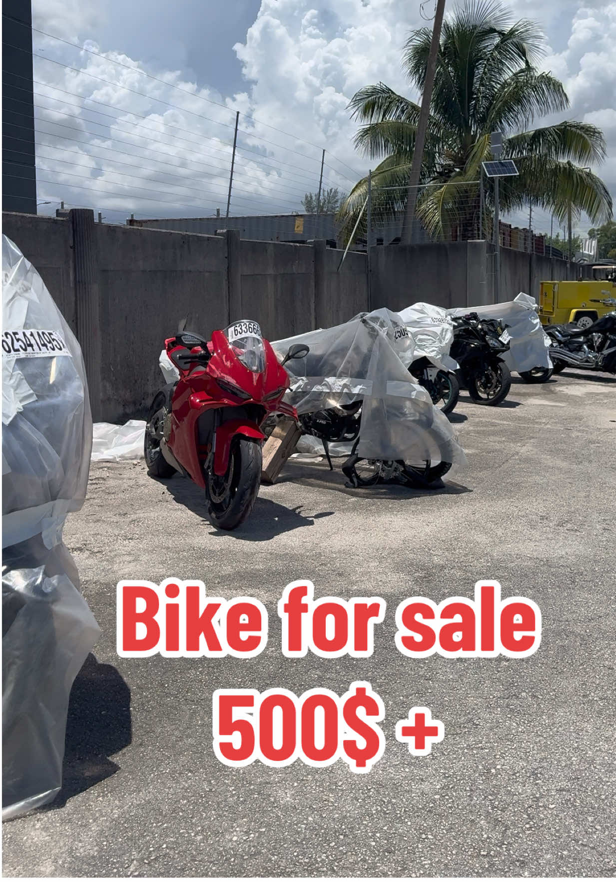 Motos desde 500$ en adelante tu mejor opción a la hora de comprar en las subastas en usa escríbeme al privado si estás interesado #auction#subasta#copart#viral  