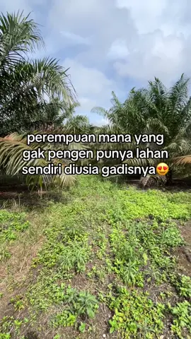 #fypage #4upage #xybca #kebunsawit 