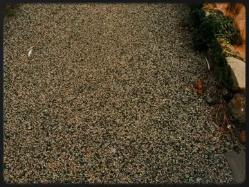 #chualanhtonthuong #chualanhtamhon #thaydoibanthan #phattrienbanthan 