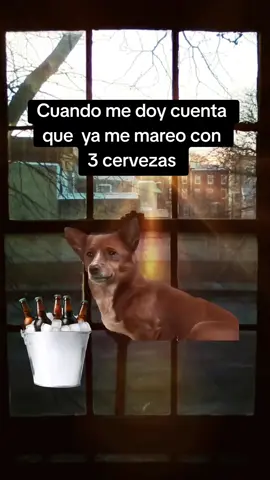 #Meme #MemeCut #CapCut 