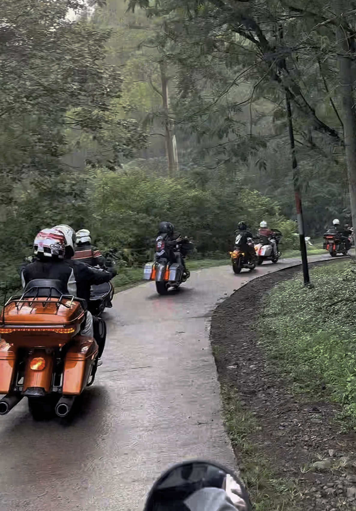 Lu bayi tidur siang? Lu capek ya touring #timothyronald #mindset #harleydavidson 