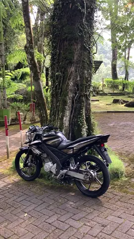 🤯🥵#vixion #vixionold #vixion_modifikasi #vixionss #vixionssstyle #vixiondeprokstyle #vixionindonesia #pigsen💨 #fypシ #fyp #viral 