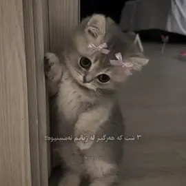 نەمبینیوە🥲😂🎀. #foryoupage #fyppppppppppppppppppppppp #aflppppppppppppppppppppppppp #foryou 