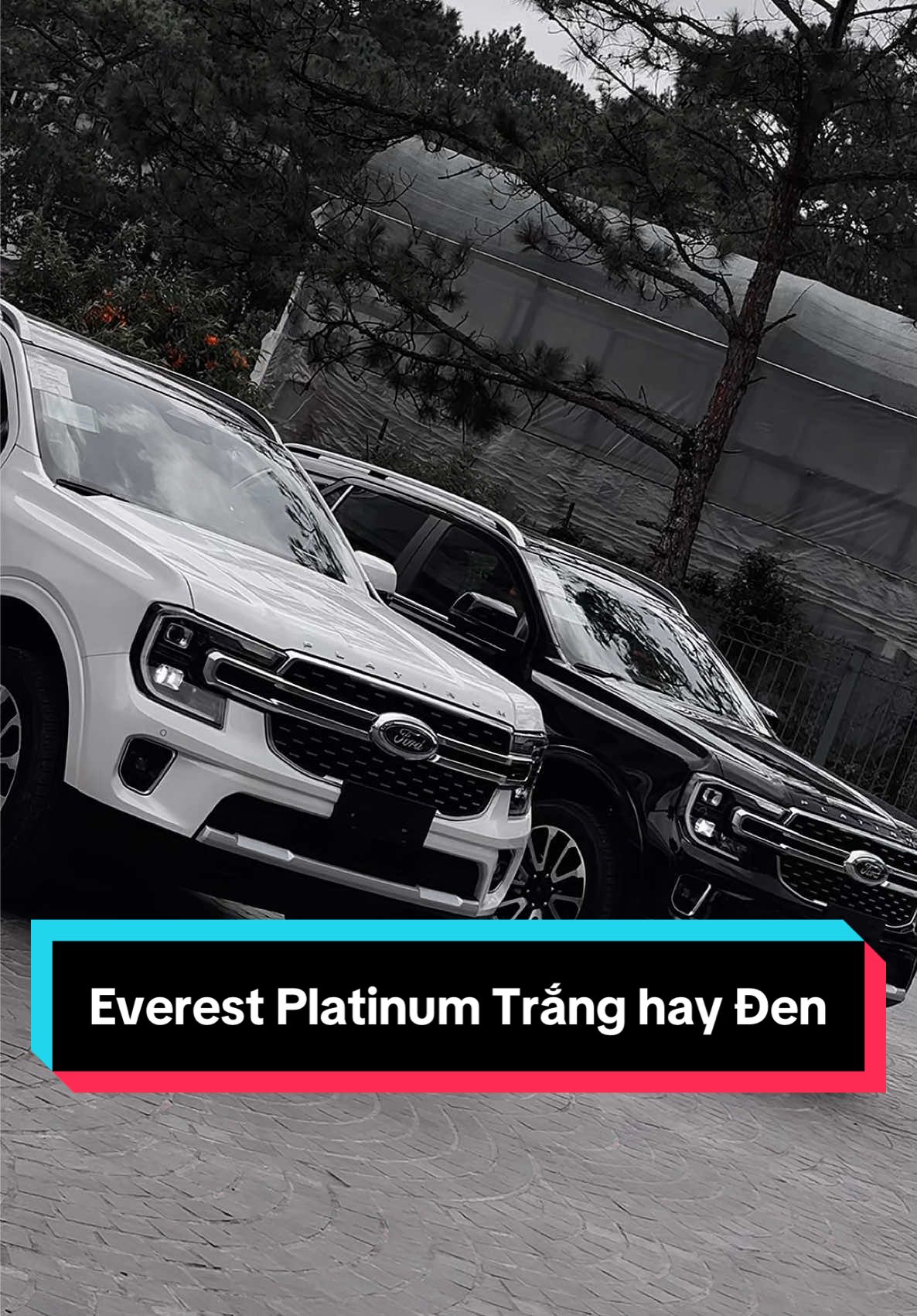 Everest Platinum Trắng hay Đen. Em sẵn 1 xe màu đen giao ngay luôn ạ! #hoanford #ĐàLạtFord #FordEverest #everest #platinum  